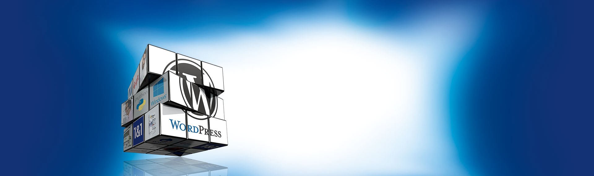 WordPress