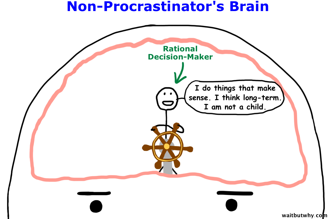  Brain 
