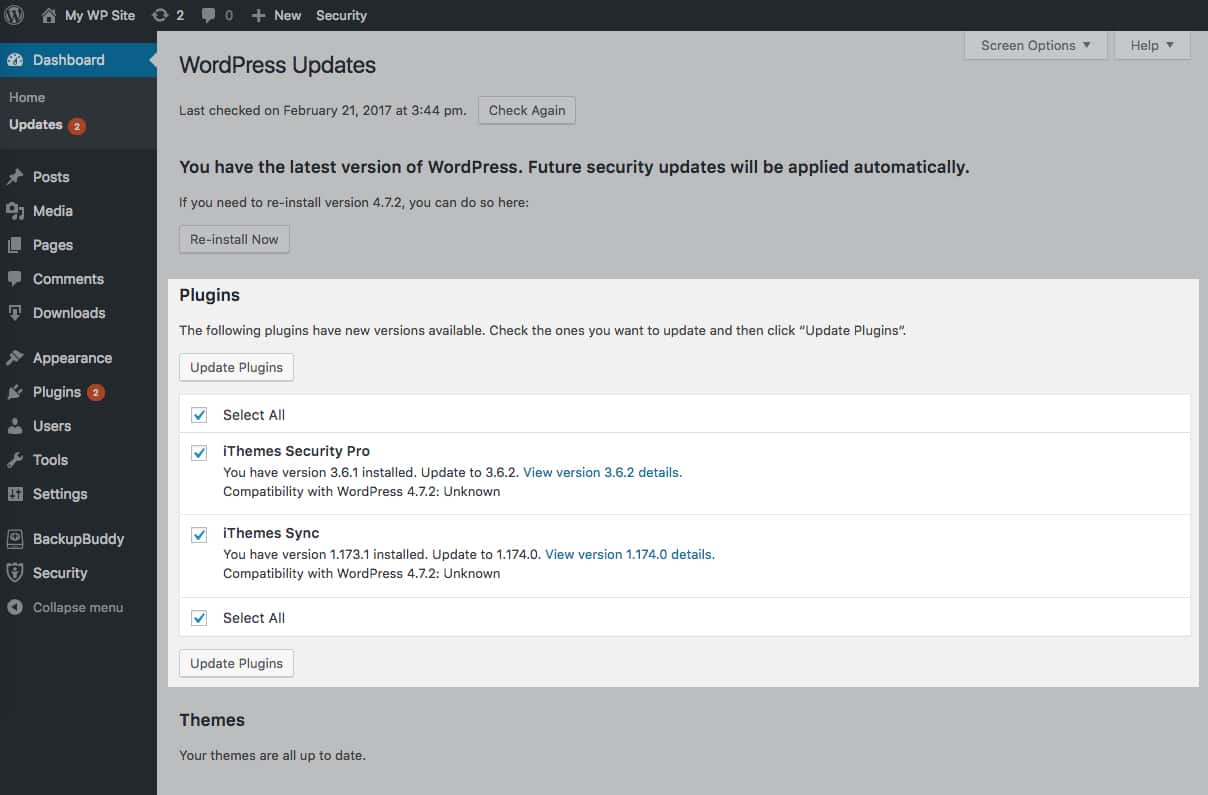 WordPress