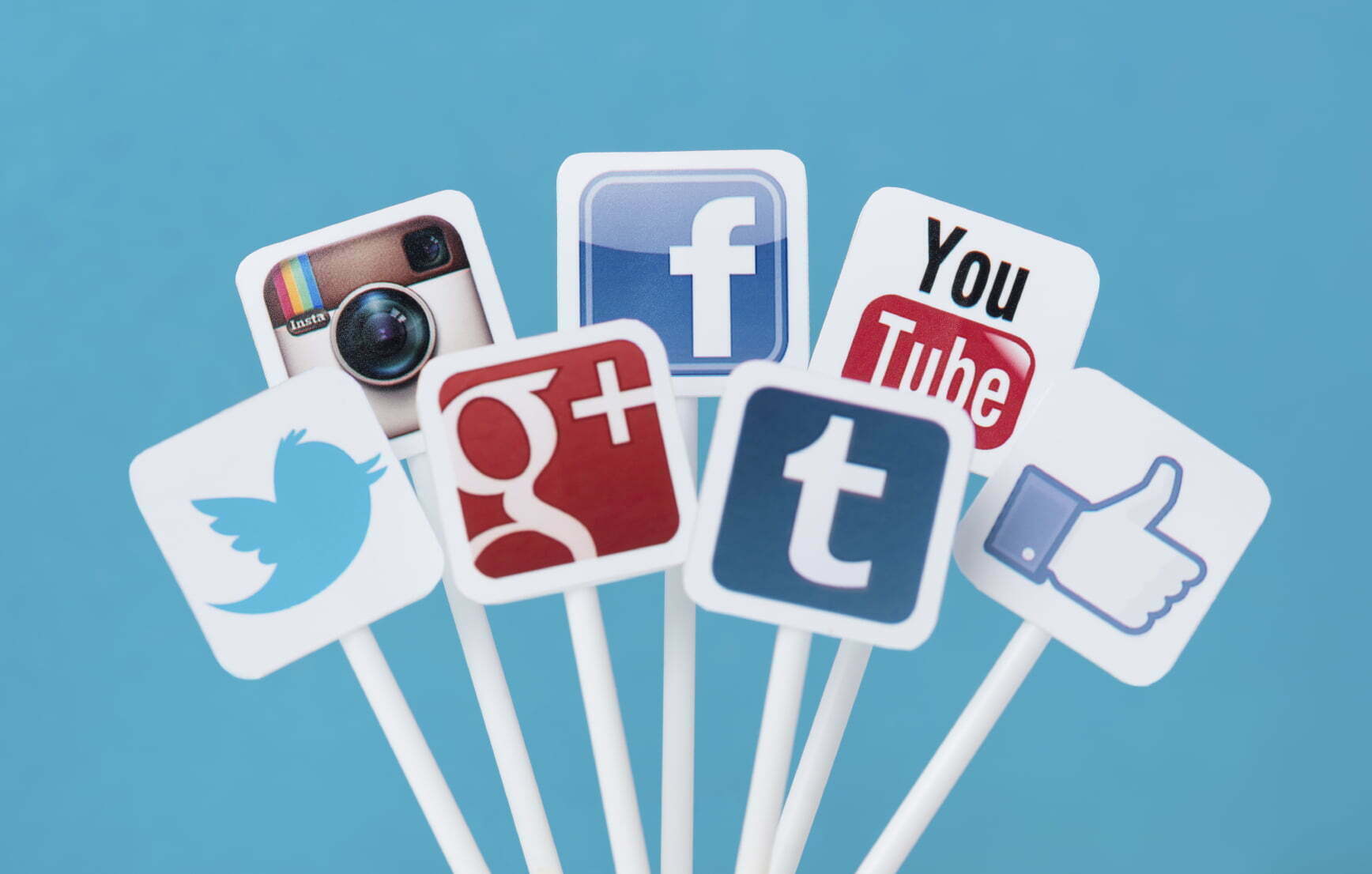 social media