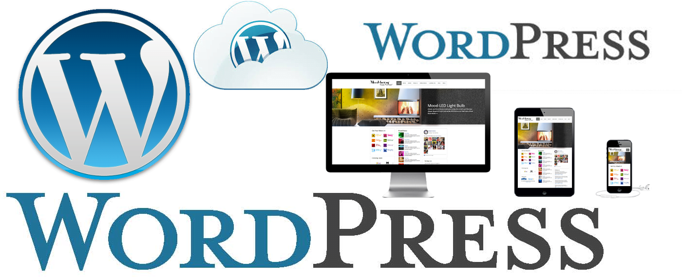 Image result for Why Design Websites in WordPress?