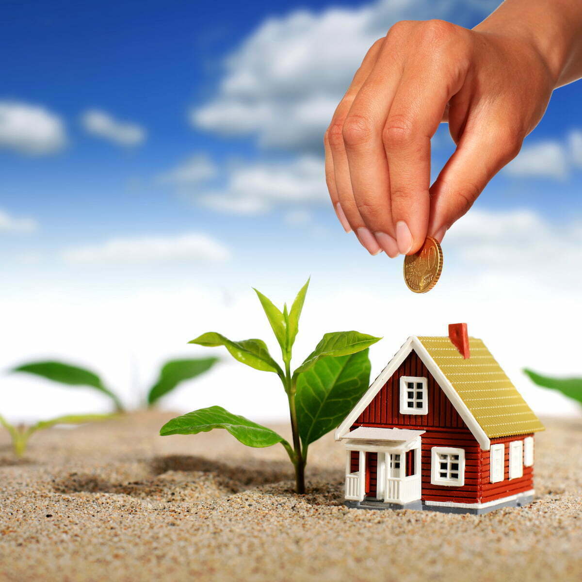 Property