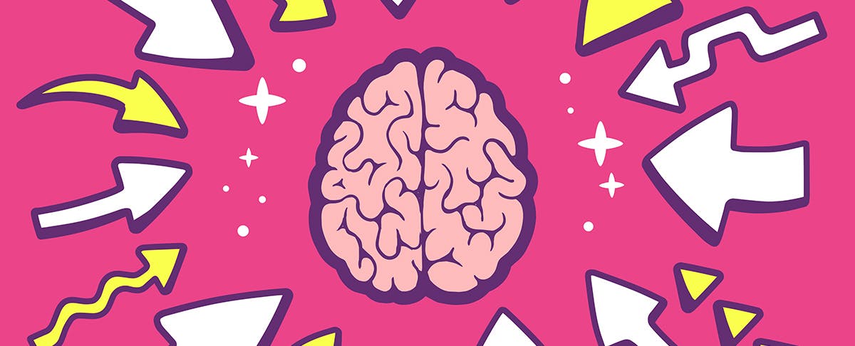 Brain 