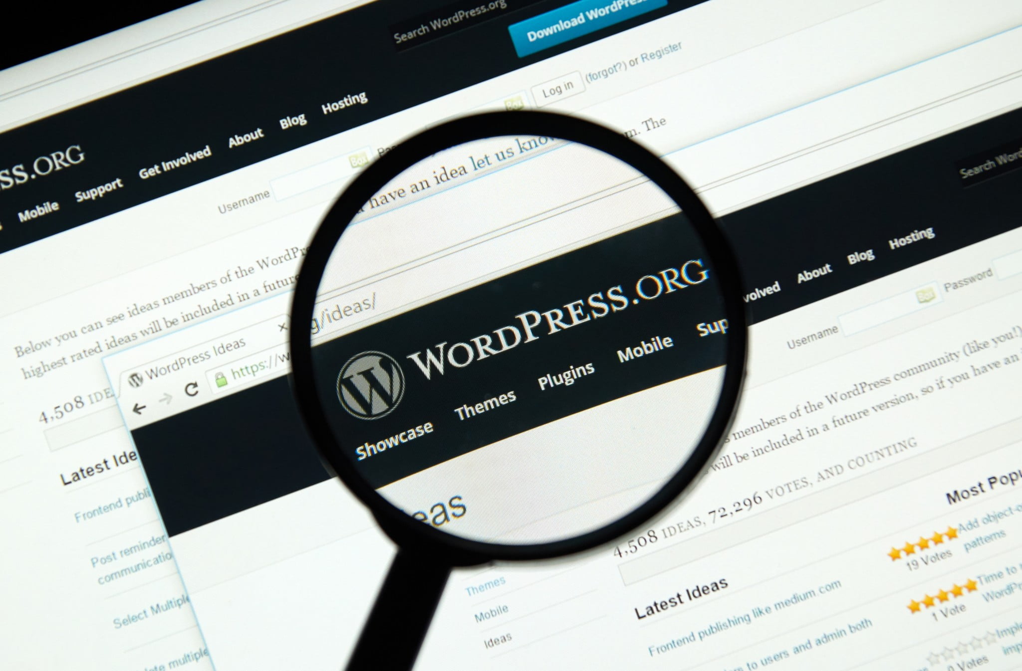 Wordpress