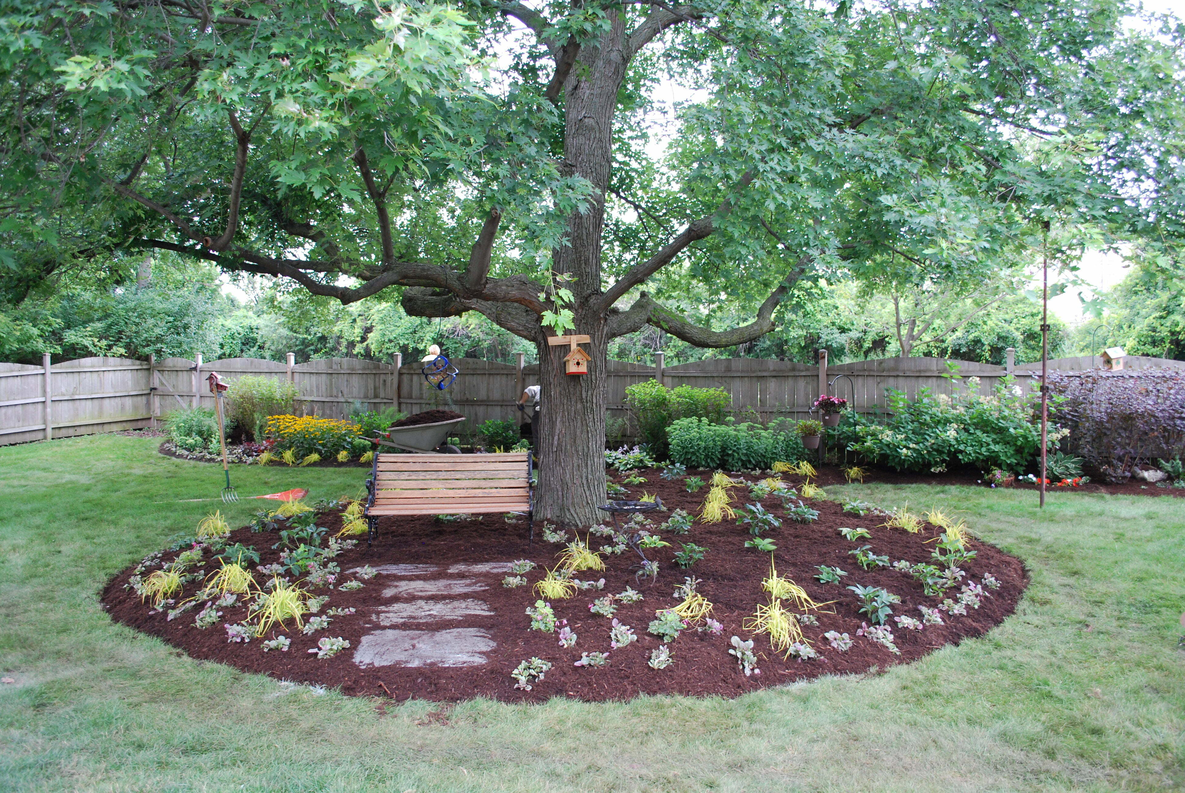 dwn-maple-tree-bed-after-picture.jpg (3872×2592)