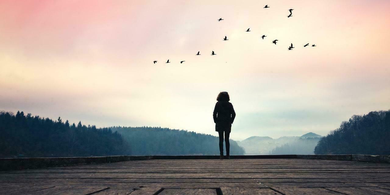 life.jpg (1280×640)