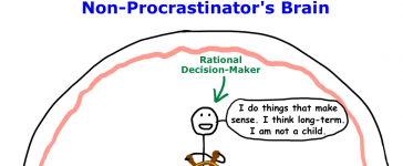 Do You Know Much About How Your Brain Works? You Should! 3