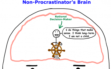 Do You Know Much About How Your Brain Works? You Should! 3