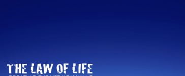 Meanings of the Tree of Life 3