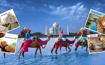 Gung-ho culture at tour agency 5