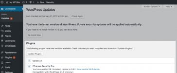 Web Tech - When Do I Upgrade WordPress? 1