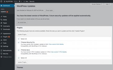 Web Tech - When Do I Upgrade WordPress? 29