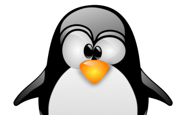 Linux: Rebuild RAID After Disk Failure 27