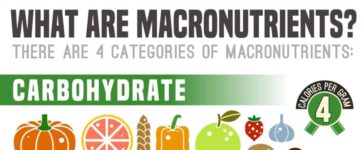 Macro Counting Made Easy: A Dummy's Guide 3